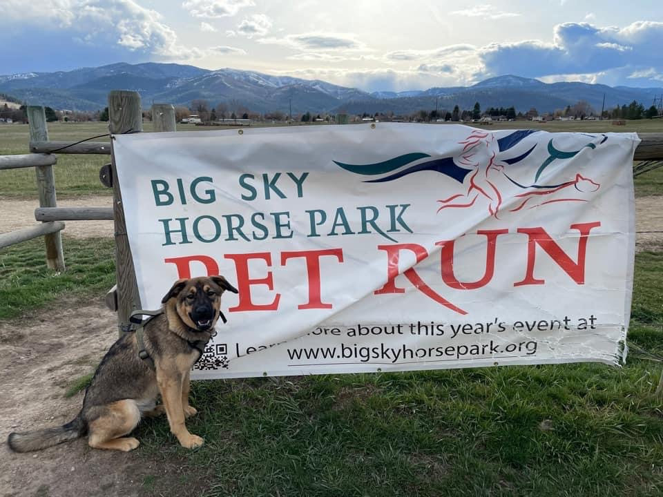 Big Sky Horse Park Pet Run