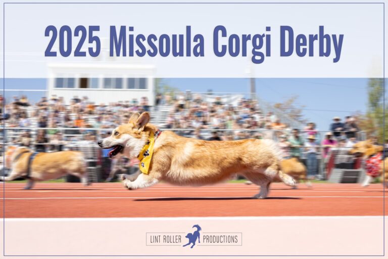 Meet Our Missoula Corgi Derby Private Lesson Winners: Tilly & Jalyn!