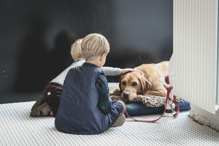 Dog Training for Busy Missoula Families: What Actually Works
