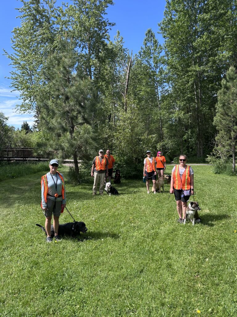 Why Summer Pack Walks Are So Valuable for Our OLK9 Grads