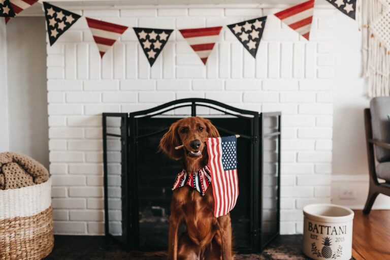 Dog Training Tips for the 4th of July: Help Your Pup Stay Calm and Safe