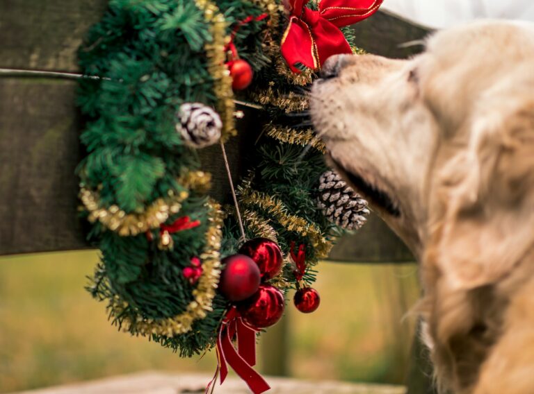 Dog-Safe Holiday Decorations: Training Tips to Keep Your Pup Out of Trouble