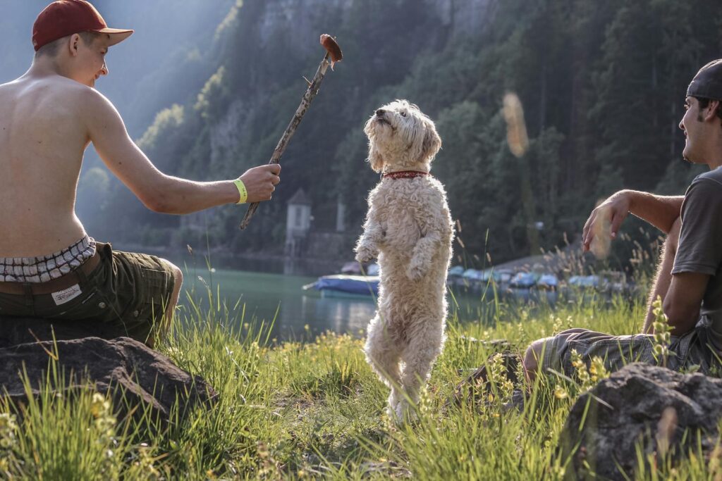 Men enjoying a lakeside camping adventure with a playful white dog, capturing fun and relaxation.