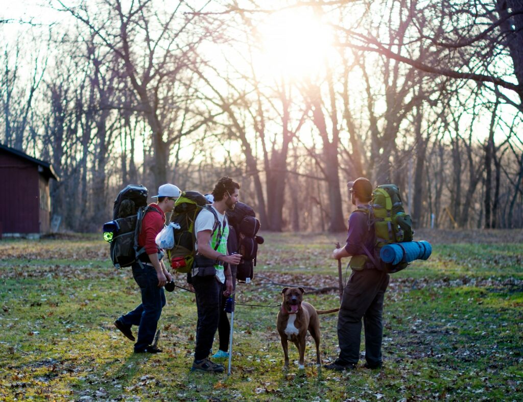 men standing in the middle of forest