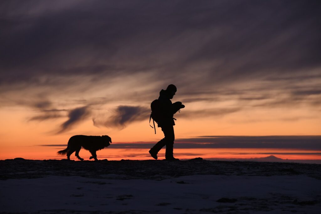 silhouette of man and dog