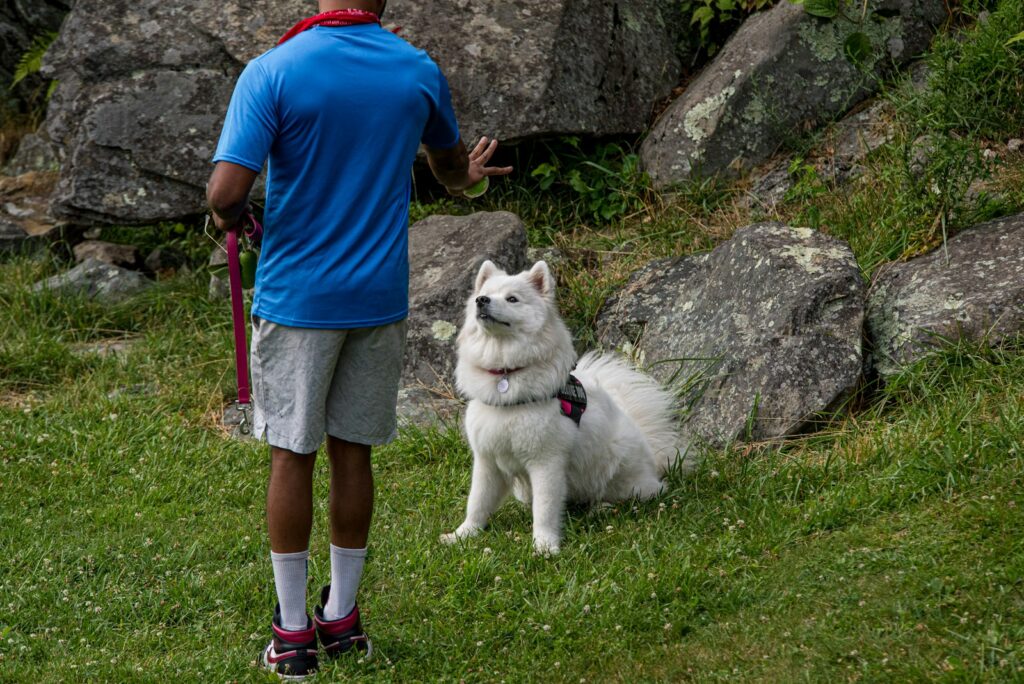a man and a dog