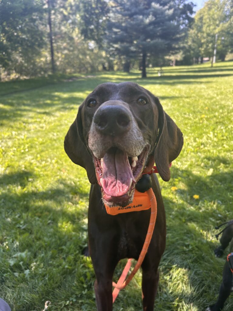 HOPS’ PUPDATE