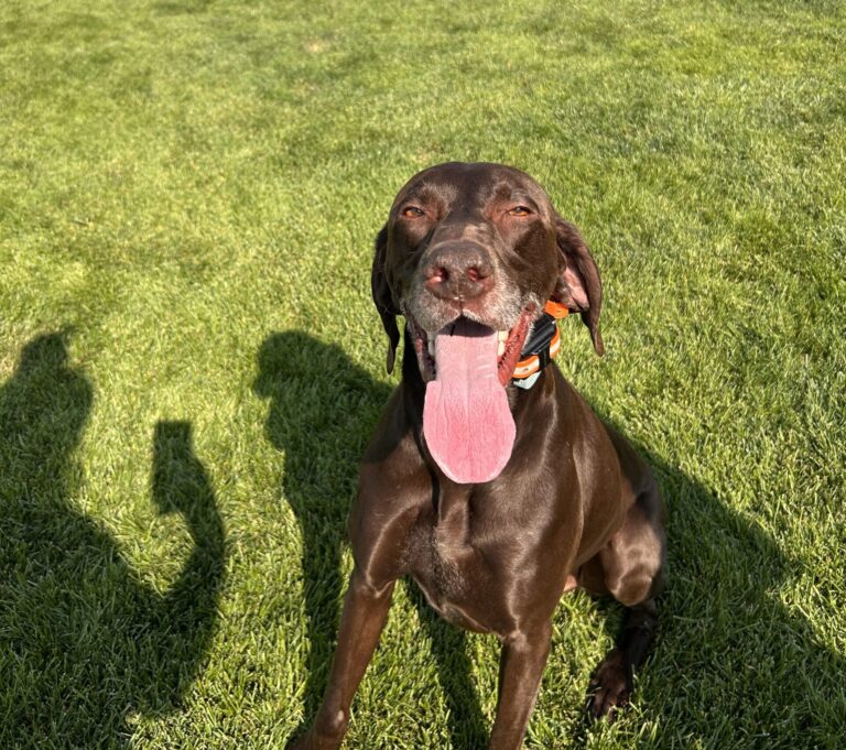 BARLEY’S PUPDATE